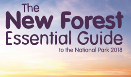 New Forest Guide